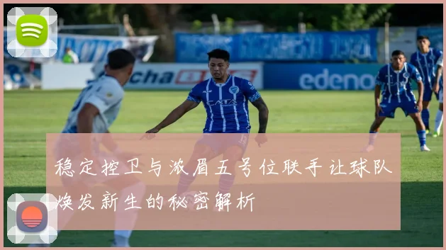 稳定控卫与浓眉五号位联手让球队焕发新生的秘密解析