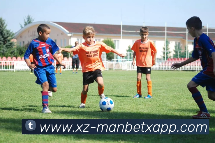 万博体育APP 体育赛事宣传图