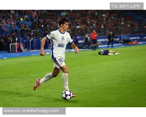 申花亚冠战役吸引30645名观众现场助威成功破三万大关